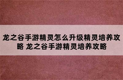 龙之谷手游精灵怎么升级精灵培养攻略 龙之谷手游精灵培养攻略